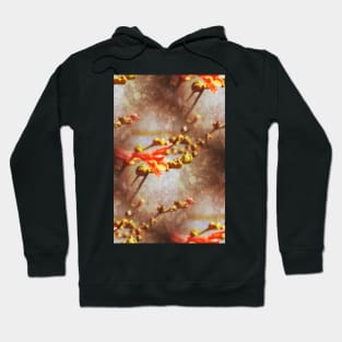 Crocosmia flowers by the Methodist church in Rainier pattern Hoodie